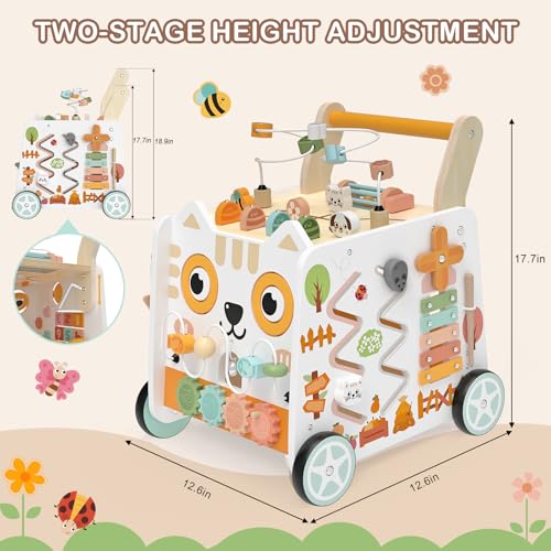 Baby Push Walker with Wheels