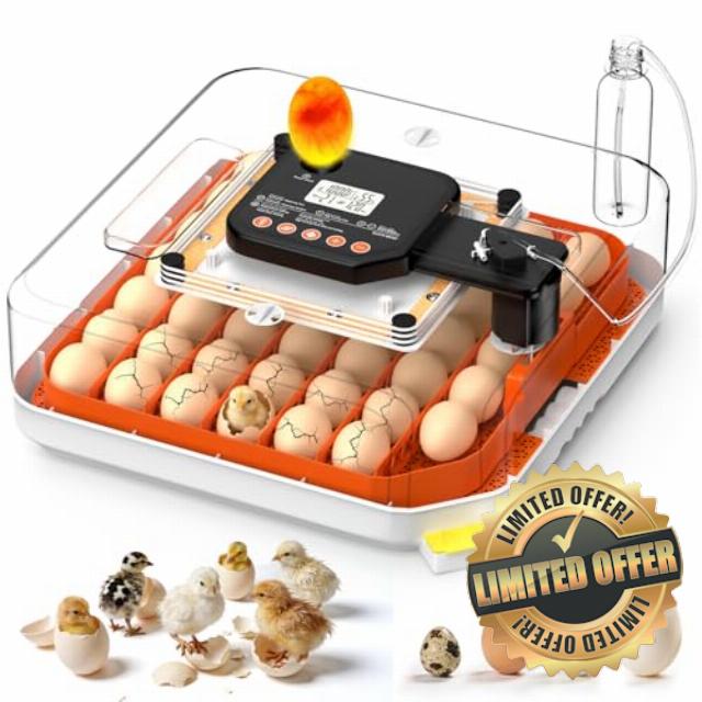 48 Egg Incubator for Hatching Eggs