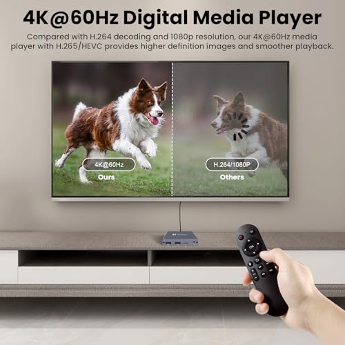 TV MP4 Video Player for USB Drive/TF Card