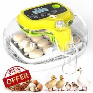 Incubators for Hatching Eggs