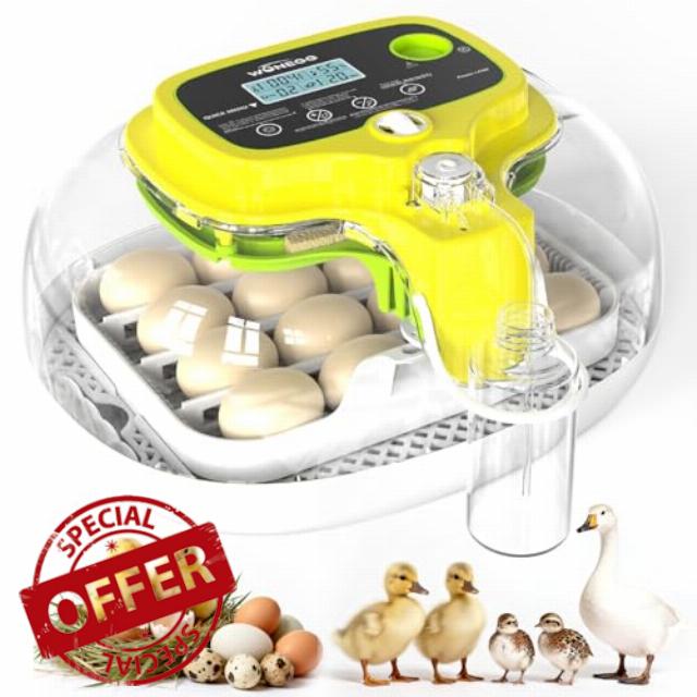 Incubators for Hatching Eggs