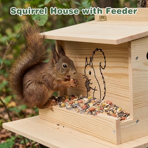 Squirrel Houses for Outside