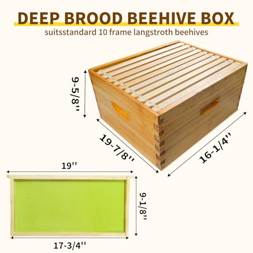 Bee Box Sections of Wood for Beehives Include Beehive Frames and Green Wax Foundations