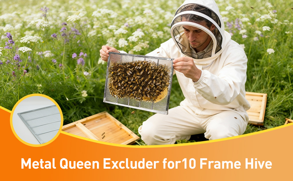 queen excluder 10 frame