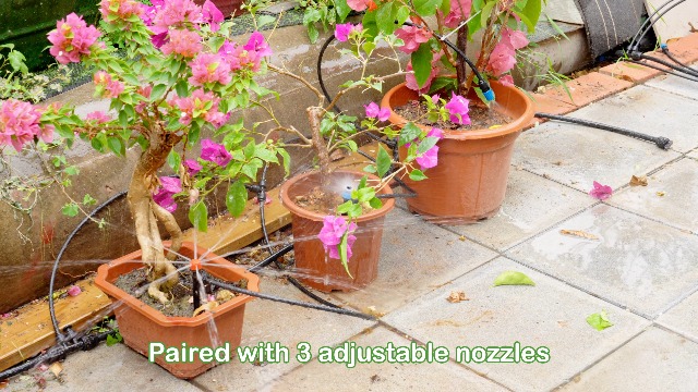 Raised Beds