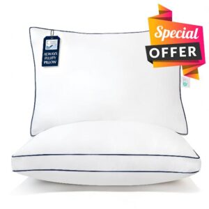 Blue Ridge Home Fashions Hotel Bed Pillows Queen Size Set of 2