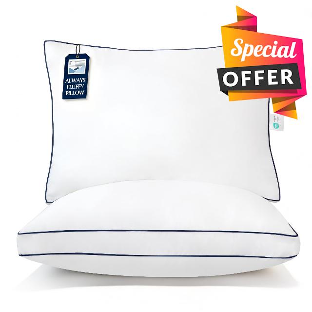 Blue Ridge Home Fashions Hotel Bed Pillows Queen Size Set of 2