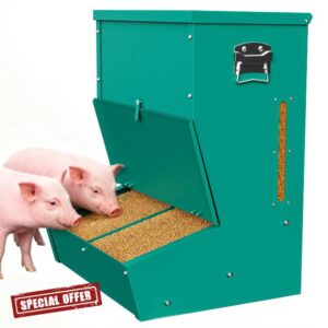 Hog Feeder for Pigs