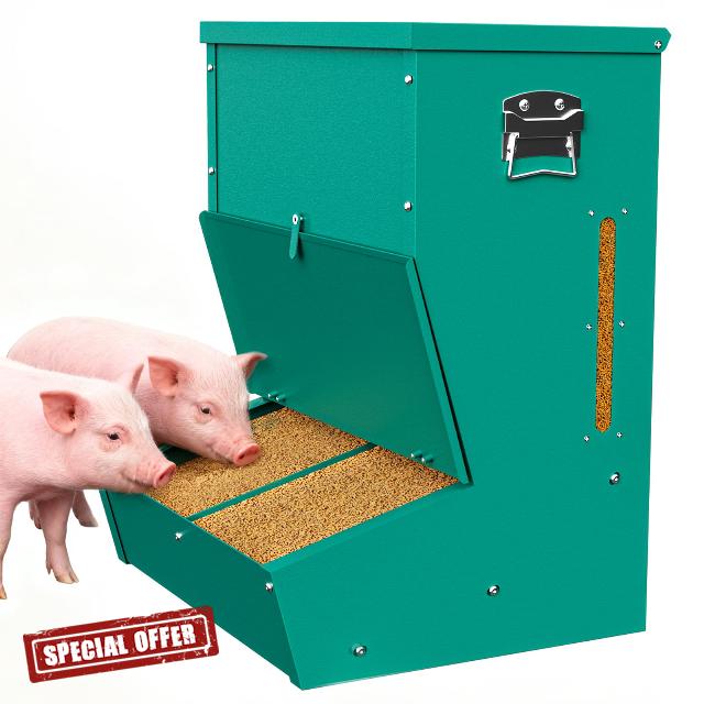 Hog Feeder for Pigs