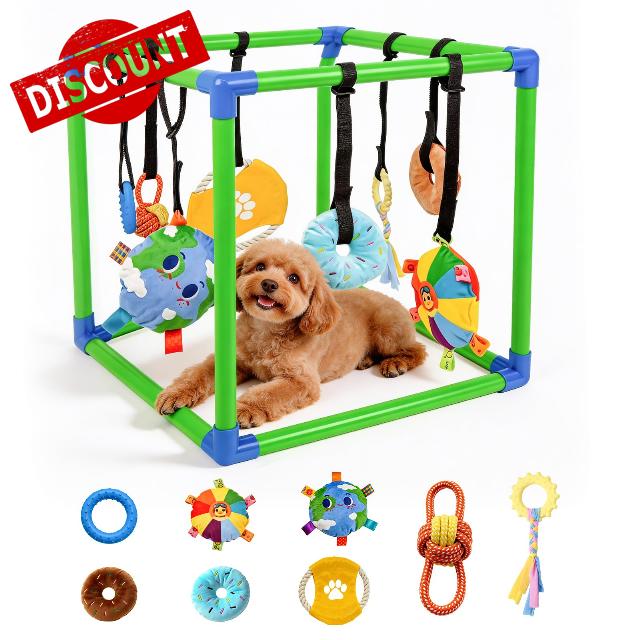 Puppy Play Gym with 8 Hanging Toys for Small Dogs