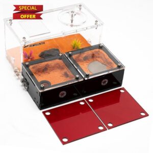 Terra Core Expandable Dual Chamber Formicarium Ant Nest with Starter Ki