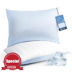Blue Ridge Home Fashions Luxury Hotel Quality Cooling Pillows Queen Size Set of 2