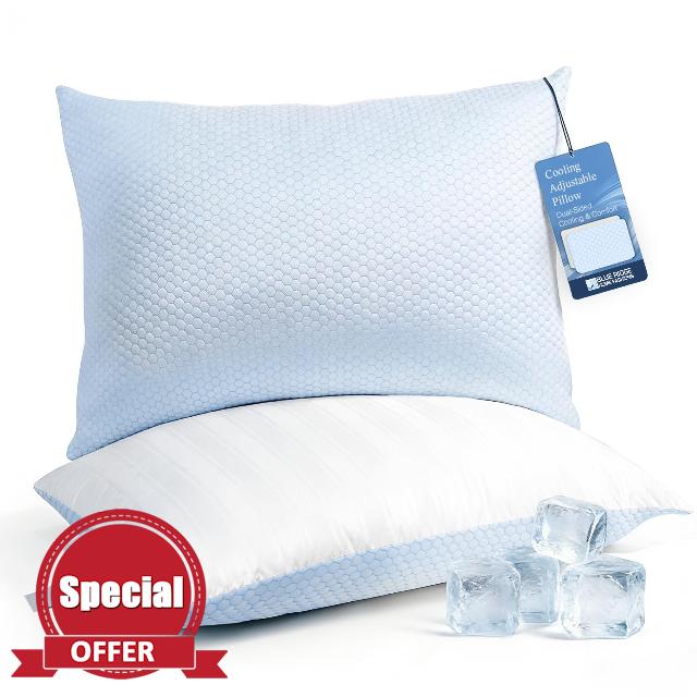 Blue Ridge Home Fashions Luxury Hotel Quality Cooling Pillows Queen Size Set of 2