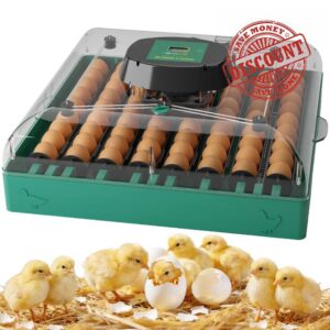 Incubators for Hatching Eggs