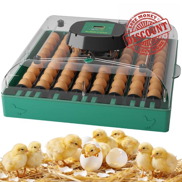 Incubators for Hatching Eggs