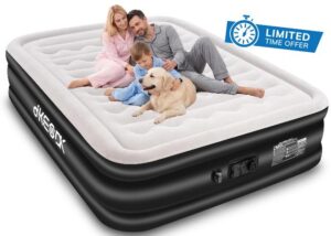 Air Mattress Queen with Built in Pump