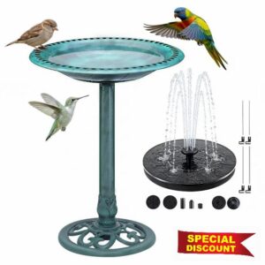 Bird Bath for Outside