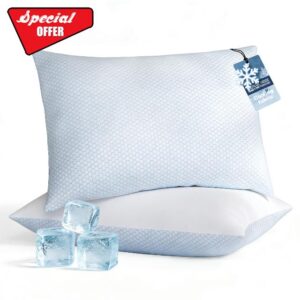 Blue Ridge Home Fashions Cooling Bed Pillows Queen Size Set of 2