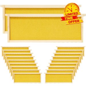 20 Pack Beehive Frames Medium Unassembled