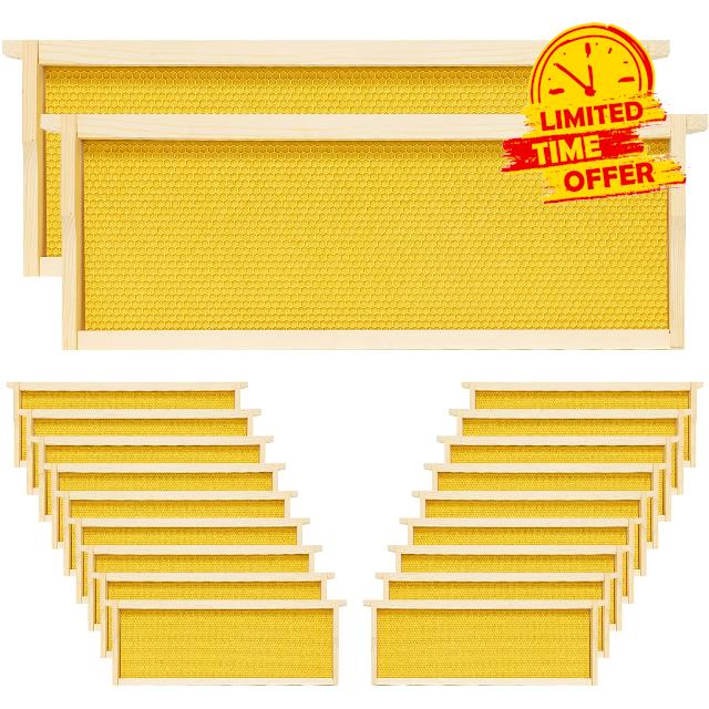 20 Pack Beehive Frames Medium Unassembled