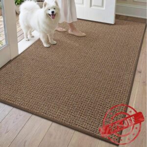 DEXI Front Door Mat Indoor Entrance