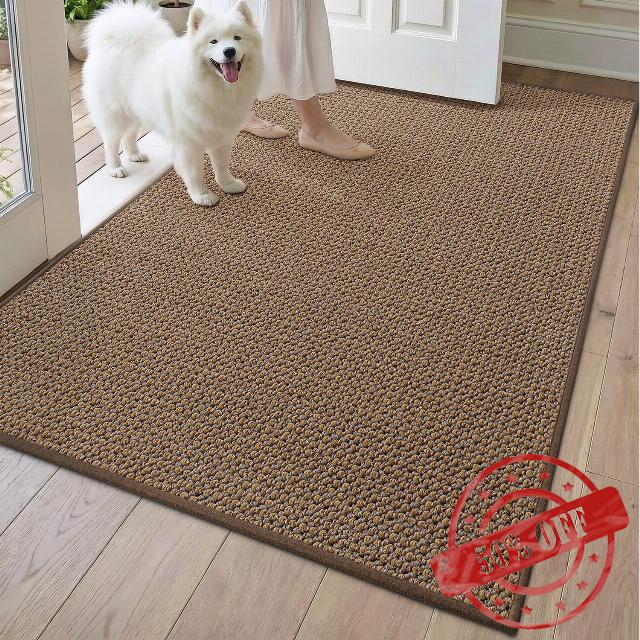 DEXI Front Door Mat Indoor Entrance