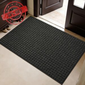 Door Mat Indoor Entrance 32x48