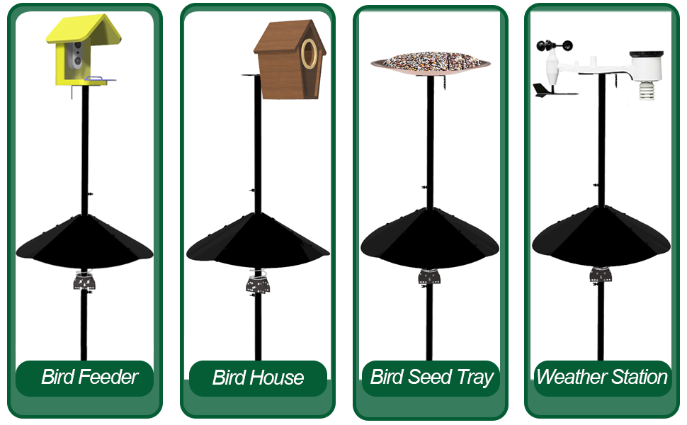 bird feeder pole with squirrel baffle