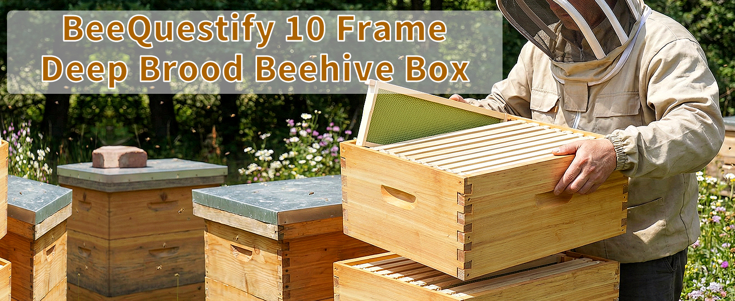 bee hive boxes