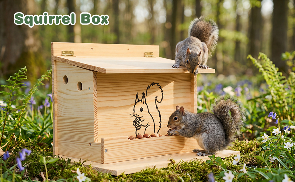 squirrel houses for winter