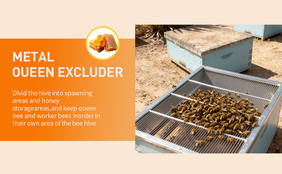 queen bee excluder 10 frame