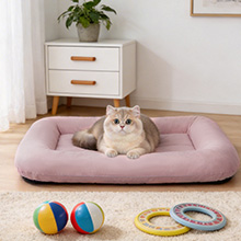 IN LIVINGROOM