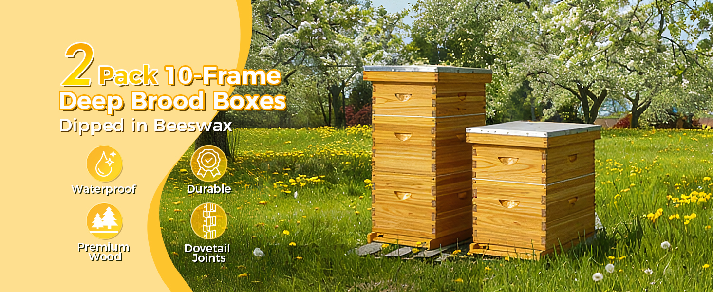 2 Pack 10-Frame Deep Beehive Box Boards
