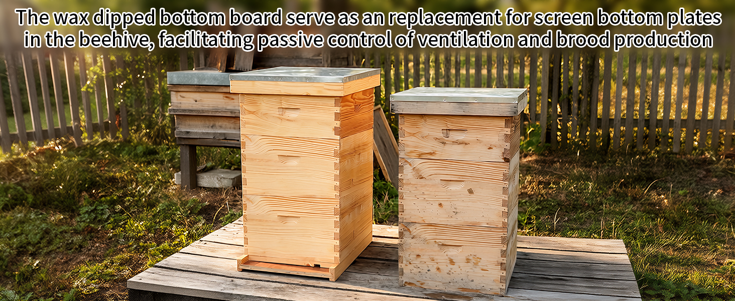 Bee Hive Soild Langstroth