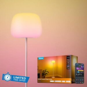 Govee Lantern Floor Lamp