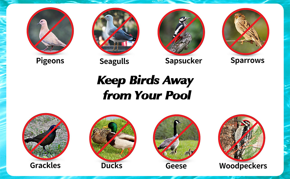 Pool Bird Deterrent Device 02-4