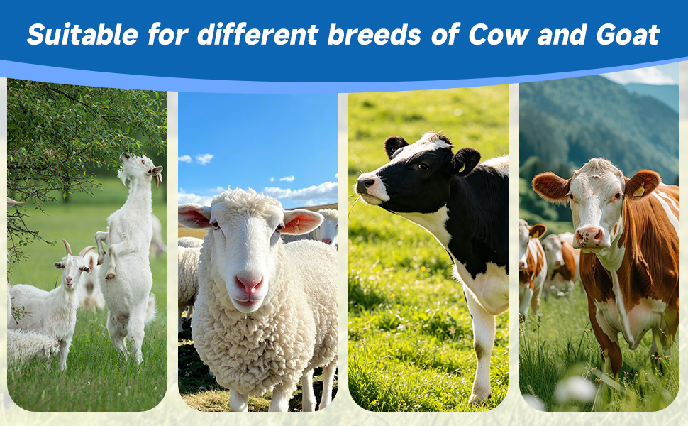 Suitable for different breeds of Cow and Goat