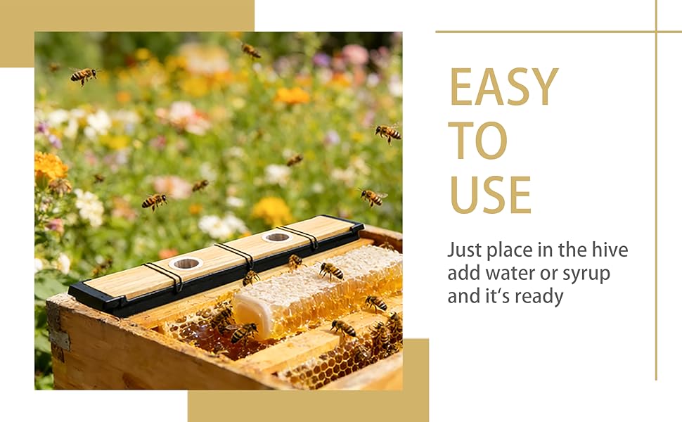 bee feeder