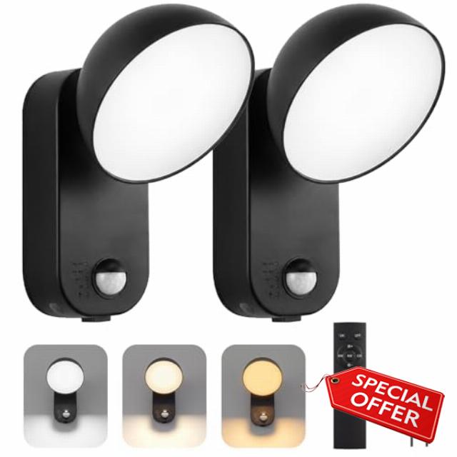 NIROSUN Motion Sensor Outdoor Light with Remote