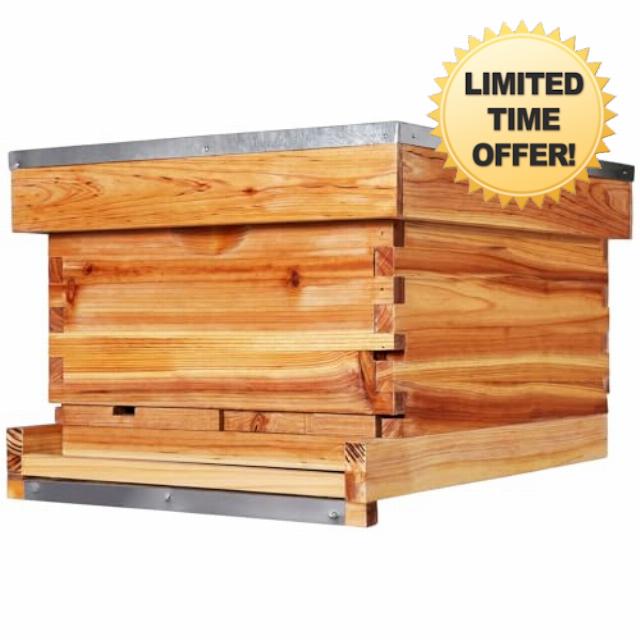AceOrbit 10 Frame Bee Hive Kit with Wax-Coated Wooden Box Telescoping Cover Screened Bottom Board Beekeeping Supplies with Pull-Out Plastic Base and Entrance Reduce