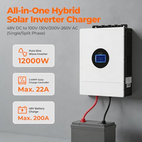 Pure Sine Wave Inverter Built-in 2 MPPT 200A Charge Controller