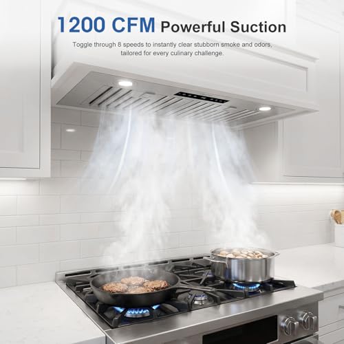Professional Kitchen Vent Hood with Quiet Brushless Motor