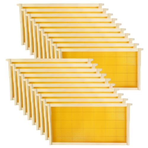 Assembled Deep Beehive Frames and Beeswax Foundation Sheets