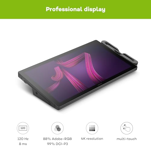 17.3 Inch Display
