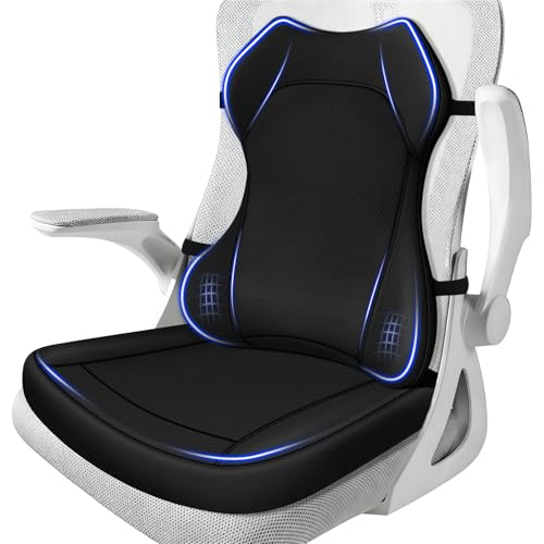 Lumbar Support Pillow for Office Chair