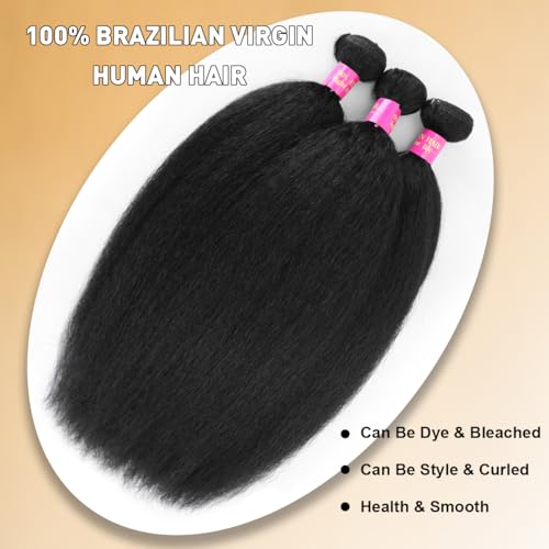 No Shedding