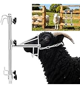 Sturdy Goat Sheep Stand, Livestock Trimming Goat Stand Adjustable Height 304 Stainless Steel Shea...