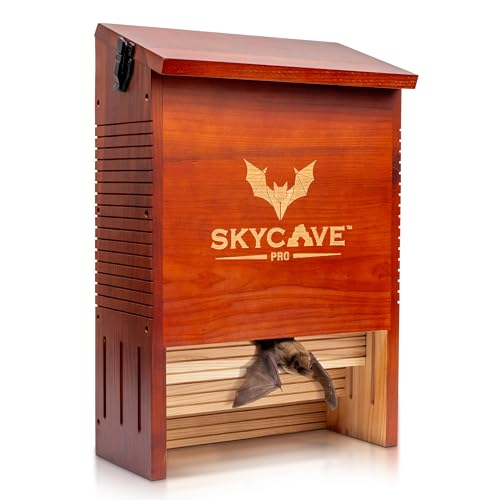 3-Chamber Bat Box