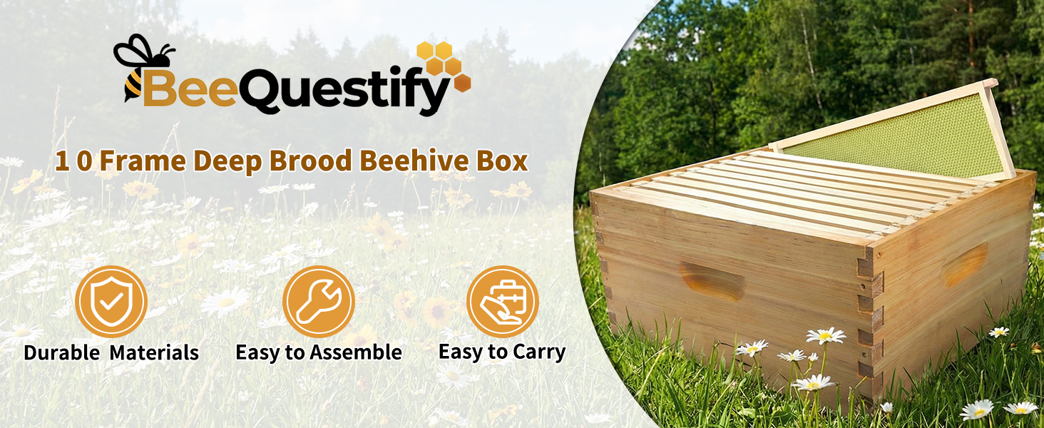 deep brood bee hive