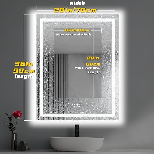 Tempered Glass